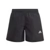 Adidas Classic Badge Of Sport Badeshorts