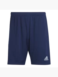 Adidas Entrada 22 Training Shorts