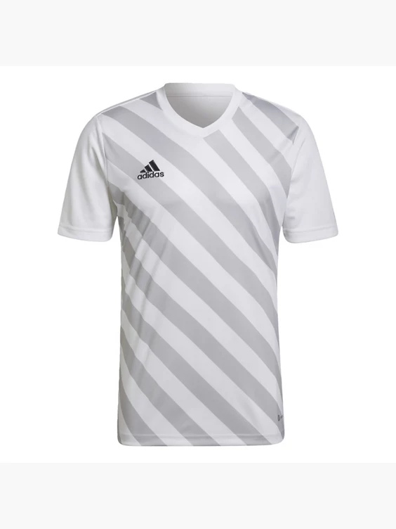 Adidas Entrada 22 Graphic Trikot