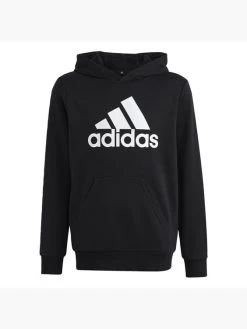 Adidas Big Logo Essentials Cotton Hoodie