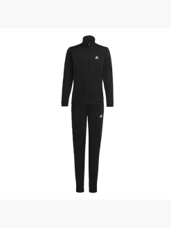 Adidas Essentials Big Logo Trainingsanzug